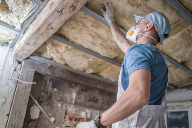 Best Residential Insulation in Ambridge, PA