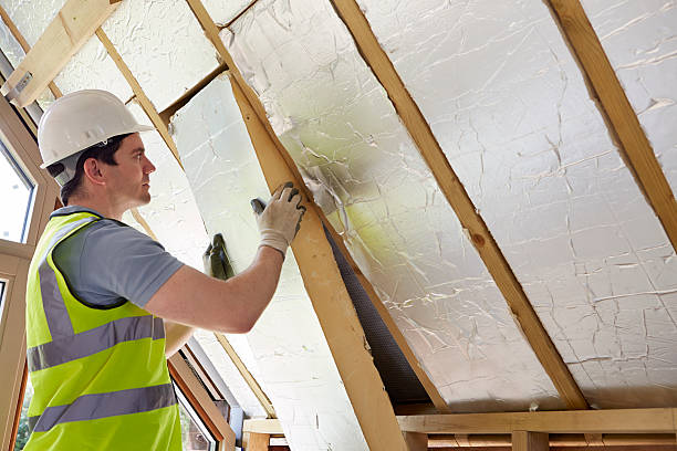 Best Specialized Insulation Services in Ambridge, PA
